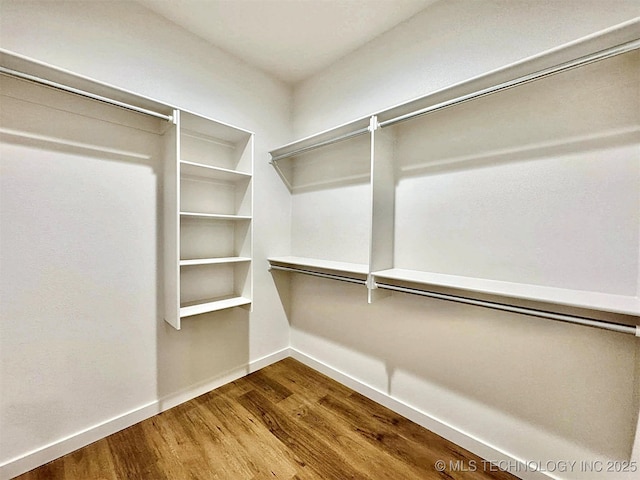 spacious closet featuring wood-type flooring