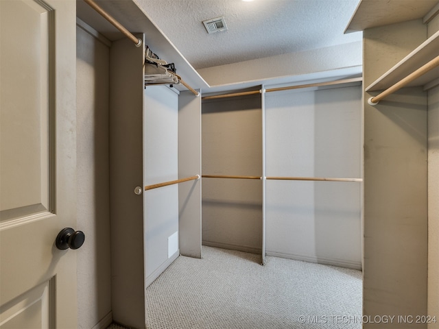 spacious closet with light colored carpet