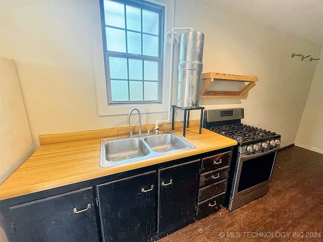 kitchen featuring stainless steel gas stove and sink