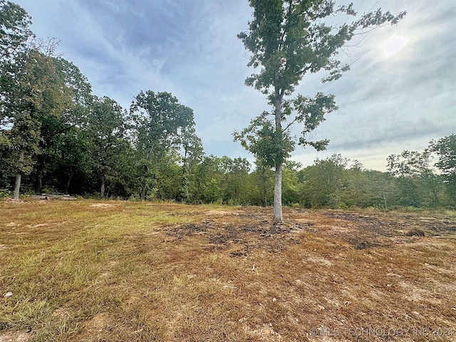 view of local wilderness