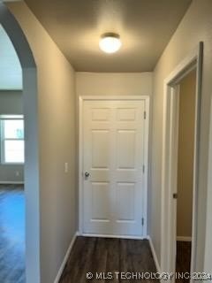 hall with dark wood-type flooring