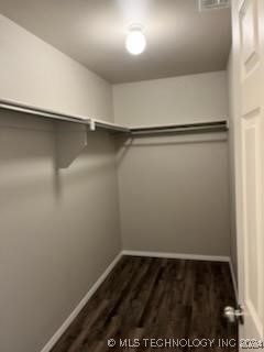 spacious closet with dark hardwood / wood-style flooring