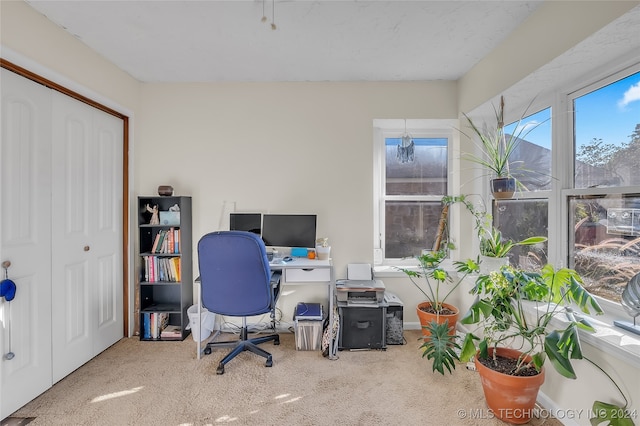 view of carpeted home office