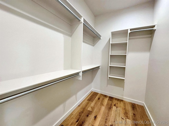 spacious closet featuring light wood finished floors