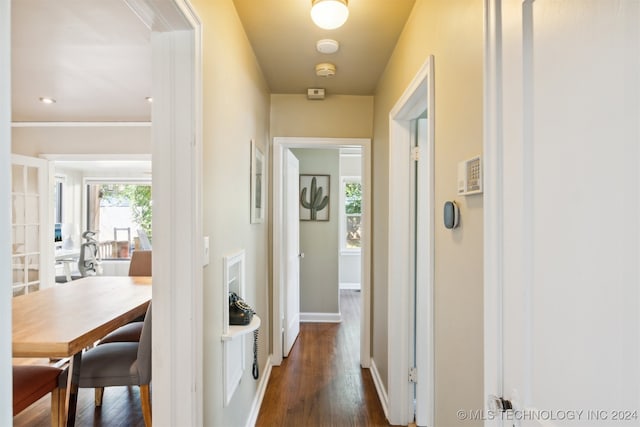 hallway featuring dark wood-type flooring