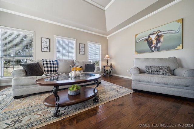 living room with a towering ceiling, plenty of natural light, dark wood-type flooring, and crown molding