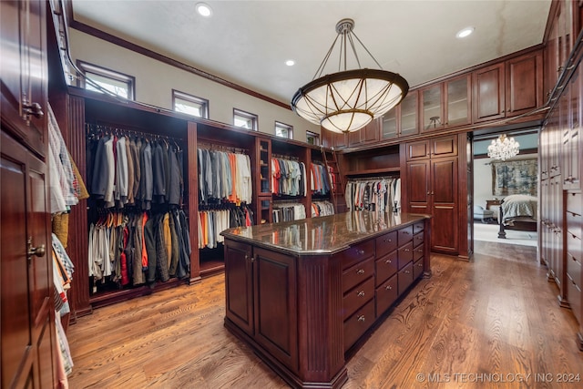 walk in closet with wood-type flooring