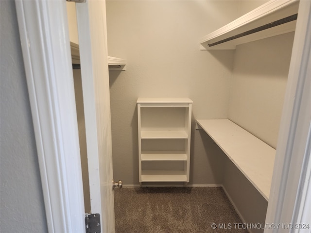 spacious closet with dark colored carpet