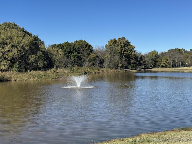 view of water feature