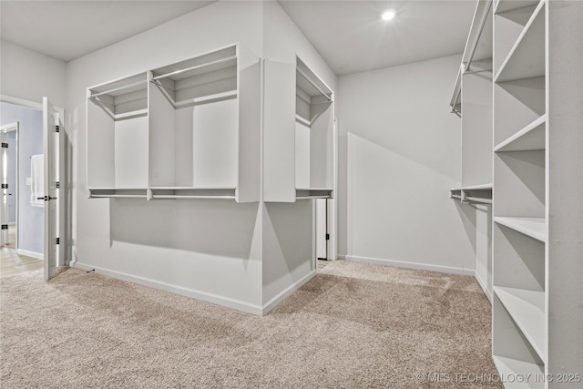 spacious closet with carpet floors