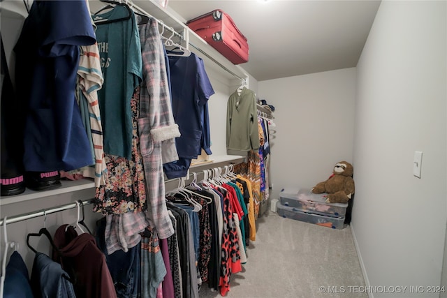 spacious closet featuring carpet