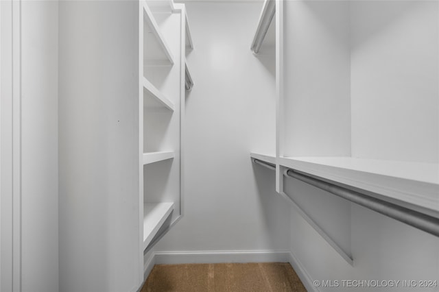 spacious closet with carpet floors