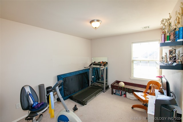 exercise area featuring carpet floors