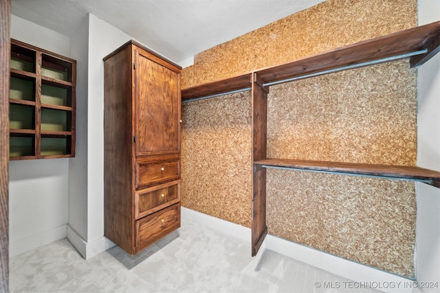 spacious closet with light carpet