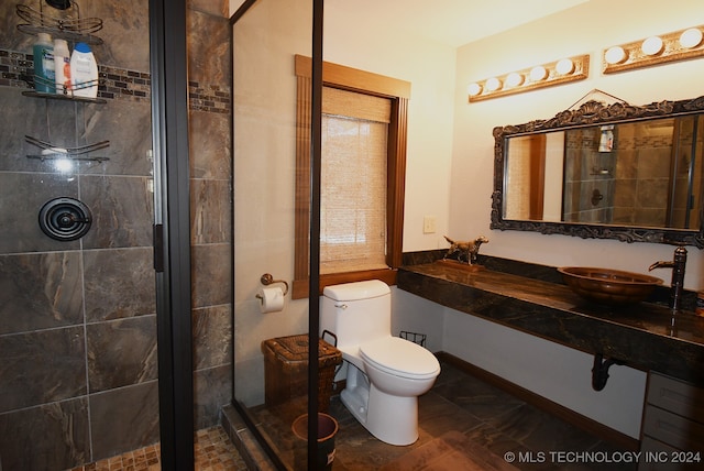 bathroom with vanity, toilet, and an enclosed shower