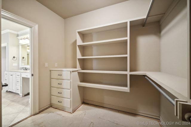 spacious closet with sink