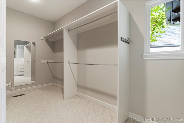 spacious closet with light carpet