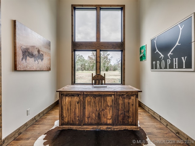 office featuring light hardwood / wood-style flooring