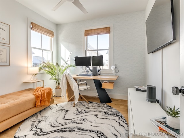 office space featuring ceiling fan, light hardwood / wood-style floors, and a healthy amount of sunlight