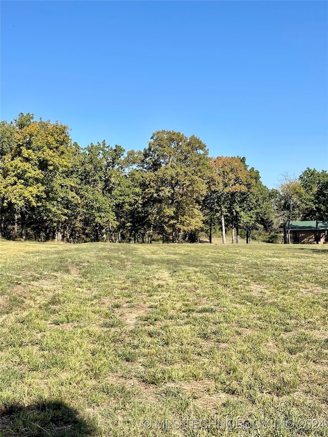 view of yard featuring a rural view