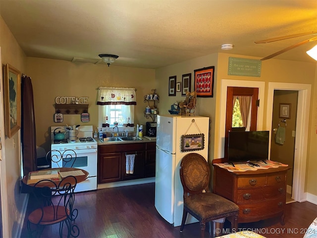 kitchen with dark hardwood / wood-style flooring, sink, white appliances, and a healthy amount of sunlight