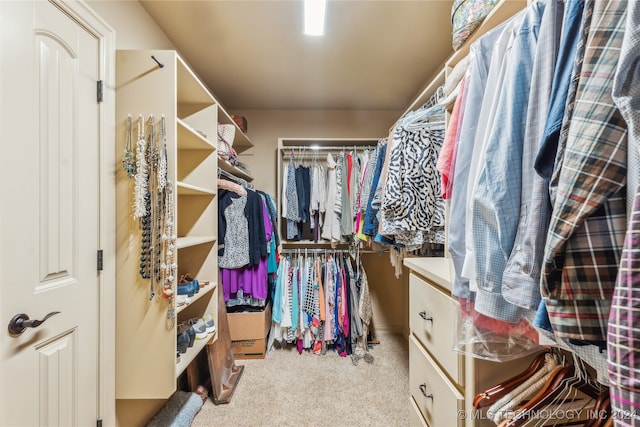 walk in closet with light carpet