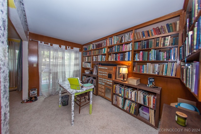 interior space featuring light colored carpet