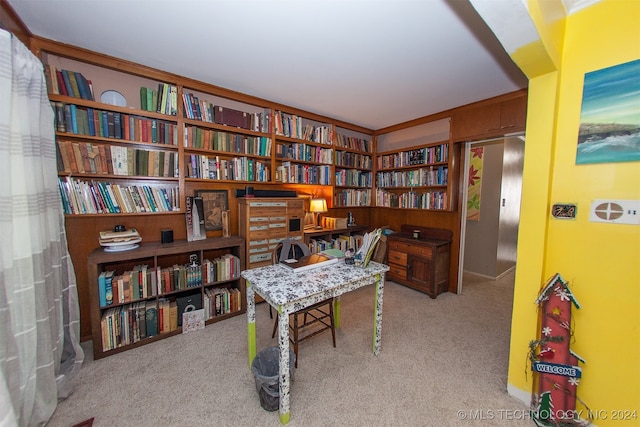 view of carpeted home office