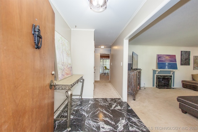 hall featuring carpet and crown molding