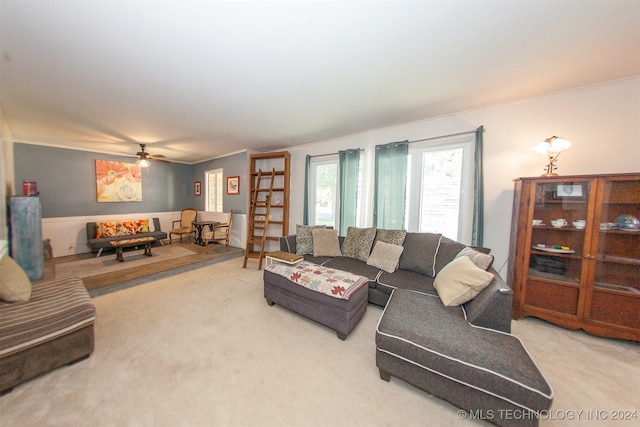 carpeted living room featuring ceiling fan and ornamental molding