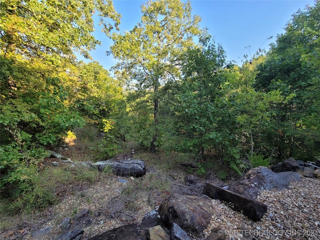 view of local wilderness