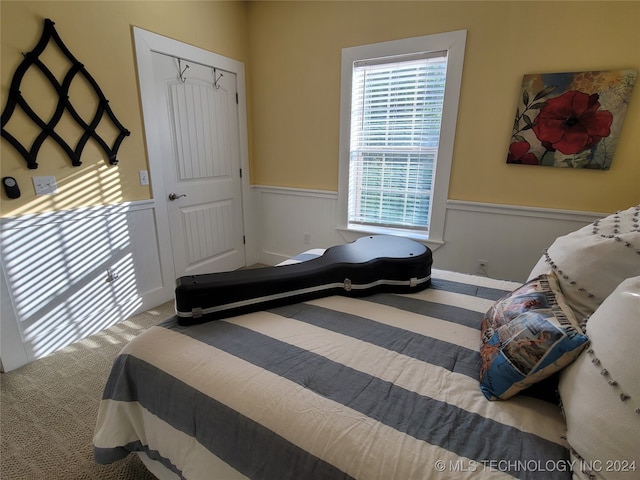 carpeted bedroom featuring a closet