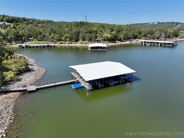 dock area with a water view