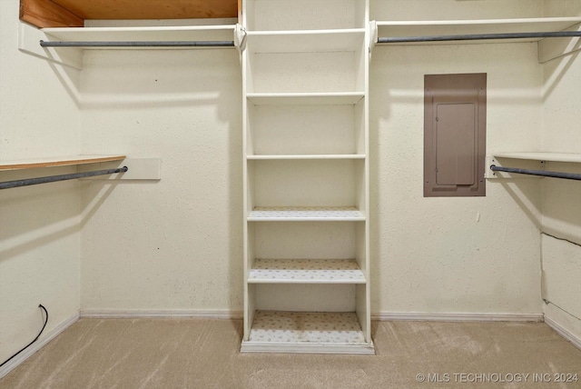 spacious closet featuring electric panel and light colored carpet