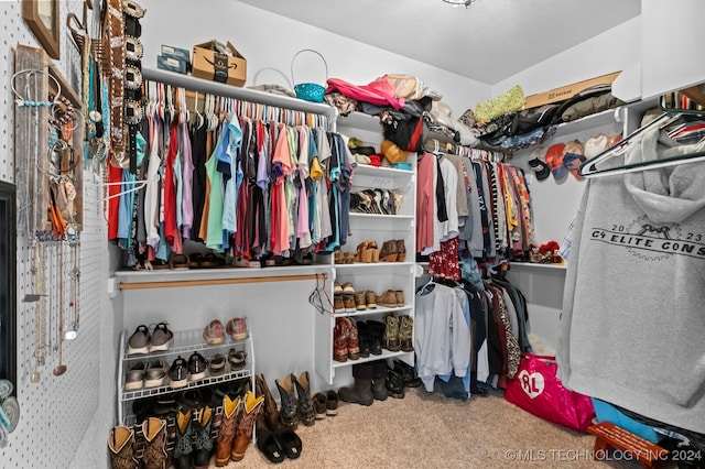 walk in closet featuring carpet floors