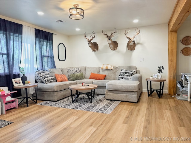 living room featuring hardwood / wood-style floors