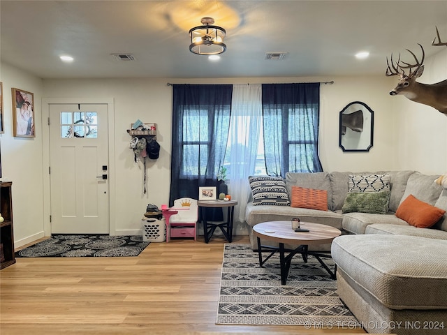 entryway with wood-type flooring and a healthy amount of sunlight