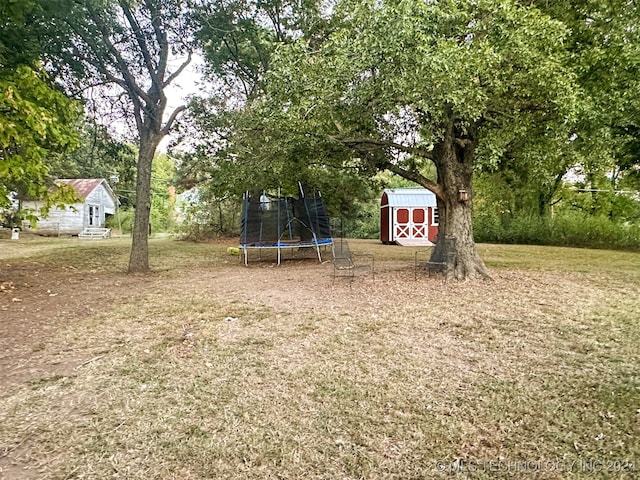 view of yard featuring a trampoline and a storage shed