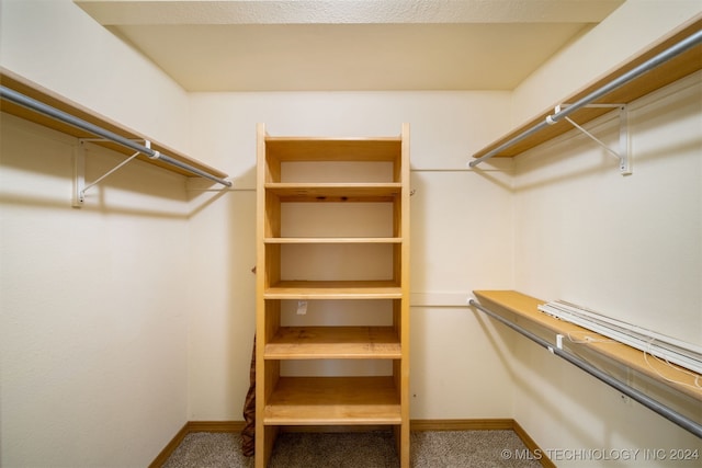 walk in closet featuring carpet flooring