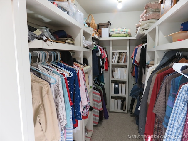 walk in closet with carpet floors