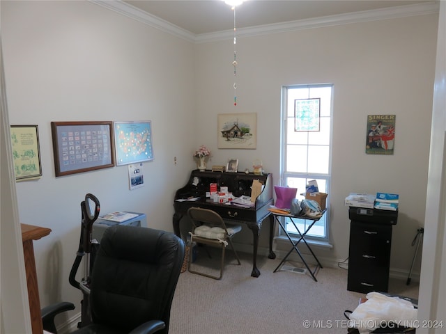 home office with light colored carpet and ornamental molding