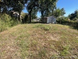 view of yard with a storage unit