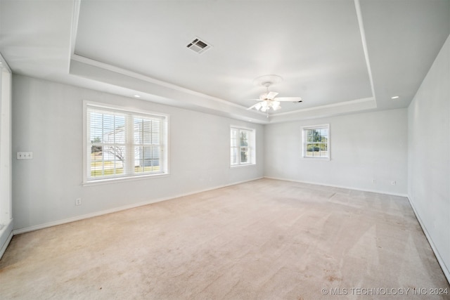 spare room with a raised ceiling, light colored carpet, and a wealth of natural light