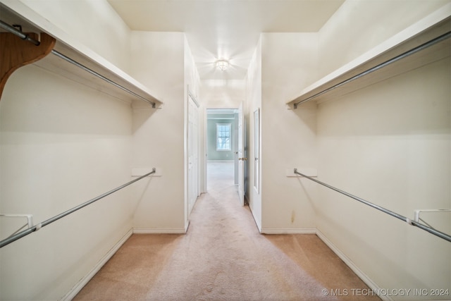 walk in closet with light carpet