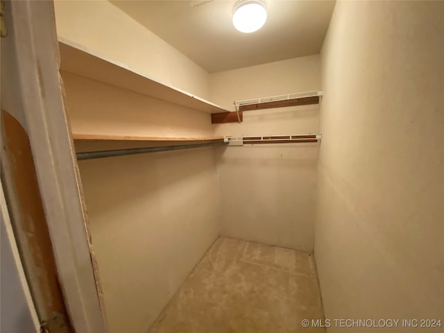 view of spacious closet