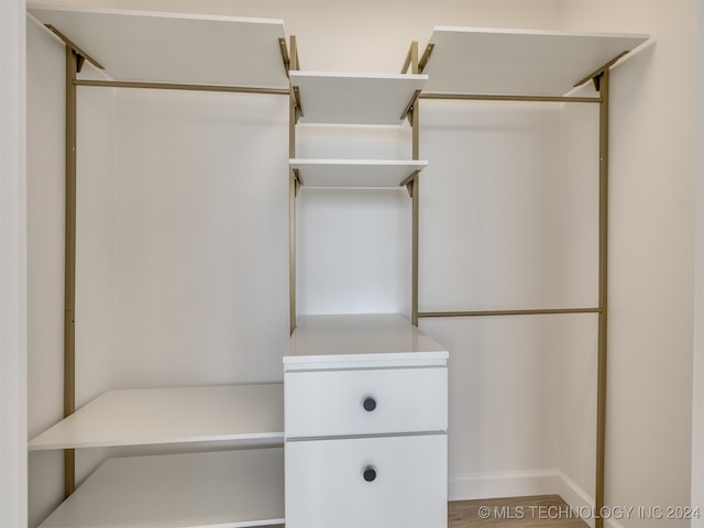 spacious closet featuring hardwood / wood-style flooring