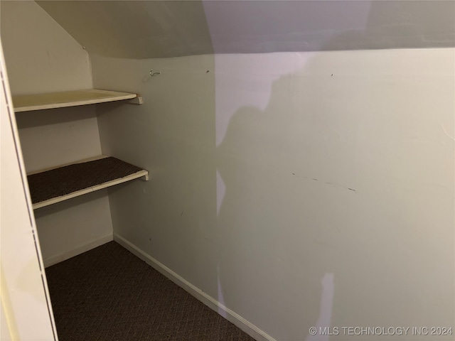 walk in closet with carpet floors and built in desk