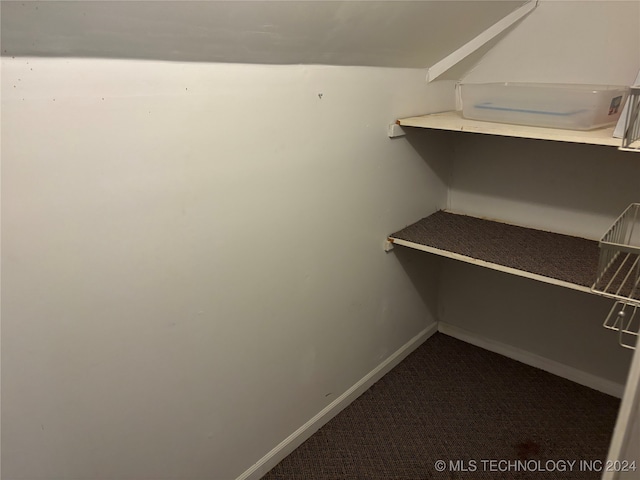 spacious closet featuring carpet flooring