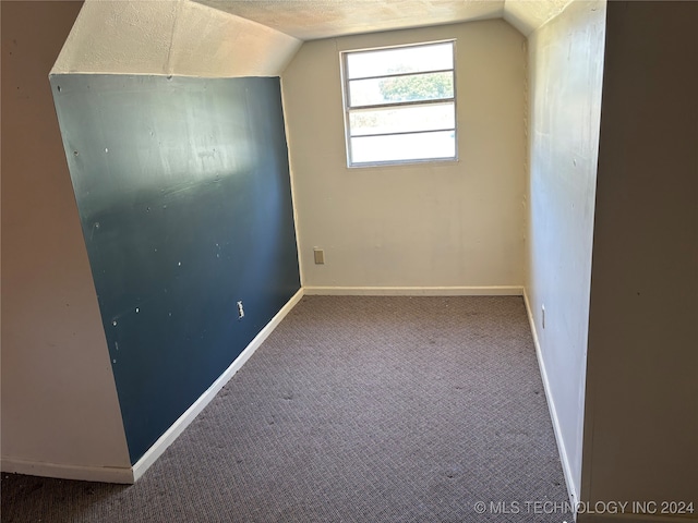 additional living space featuring a textured ceiling, lofted ceiling, and carpet flooring