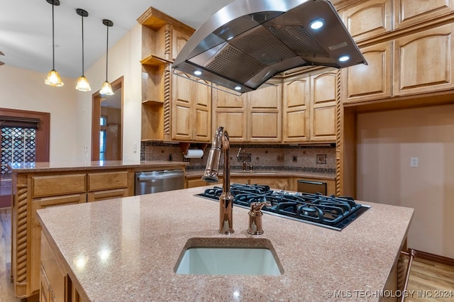 kitchen featuring island exhaust hood, stainless steel appliances, light hardwood / wood-style floors, and an island with sink